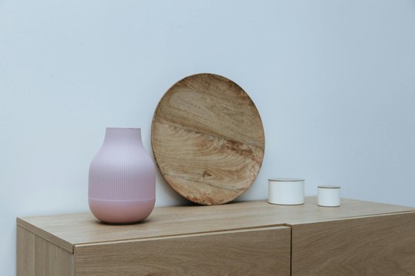 Comment entretenir un bonsaï en hiver